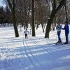 Biegi narciarskie, Jedlicze 31.01.2017